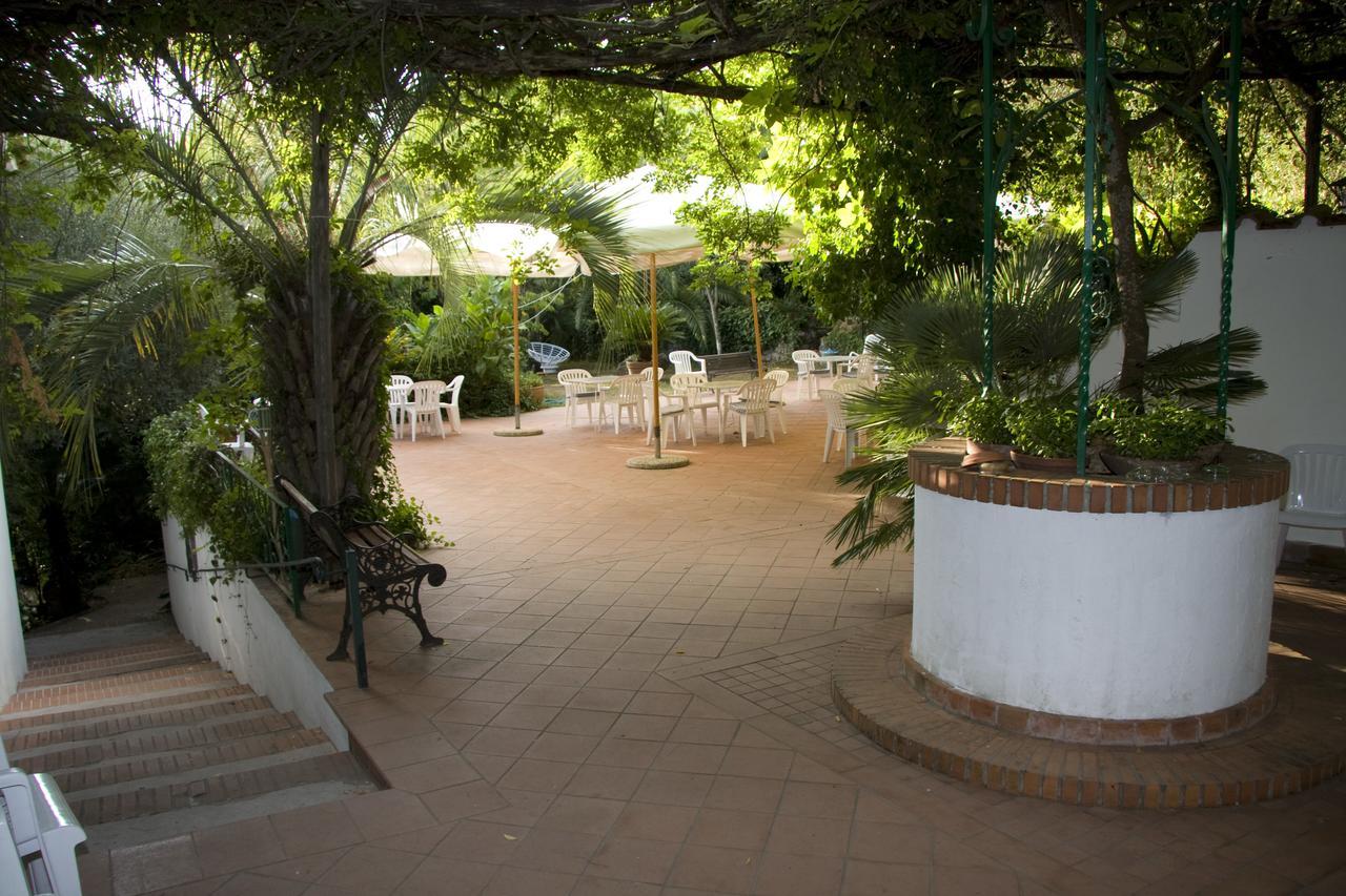 Hotel Giardino Degli Ulivi San Felice Circeo Eksteriør billede