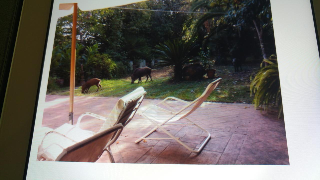 Hotel Giardino Degli Ulivi San Felice Circeo Eksteriør billede